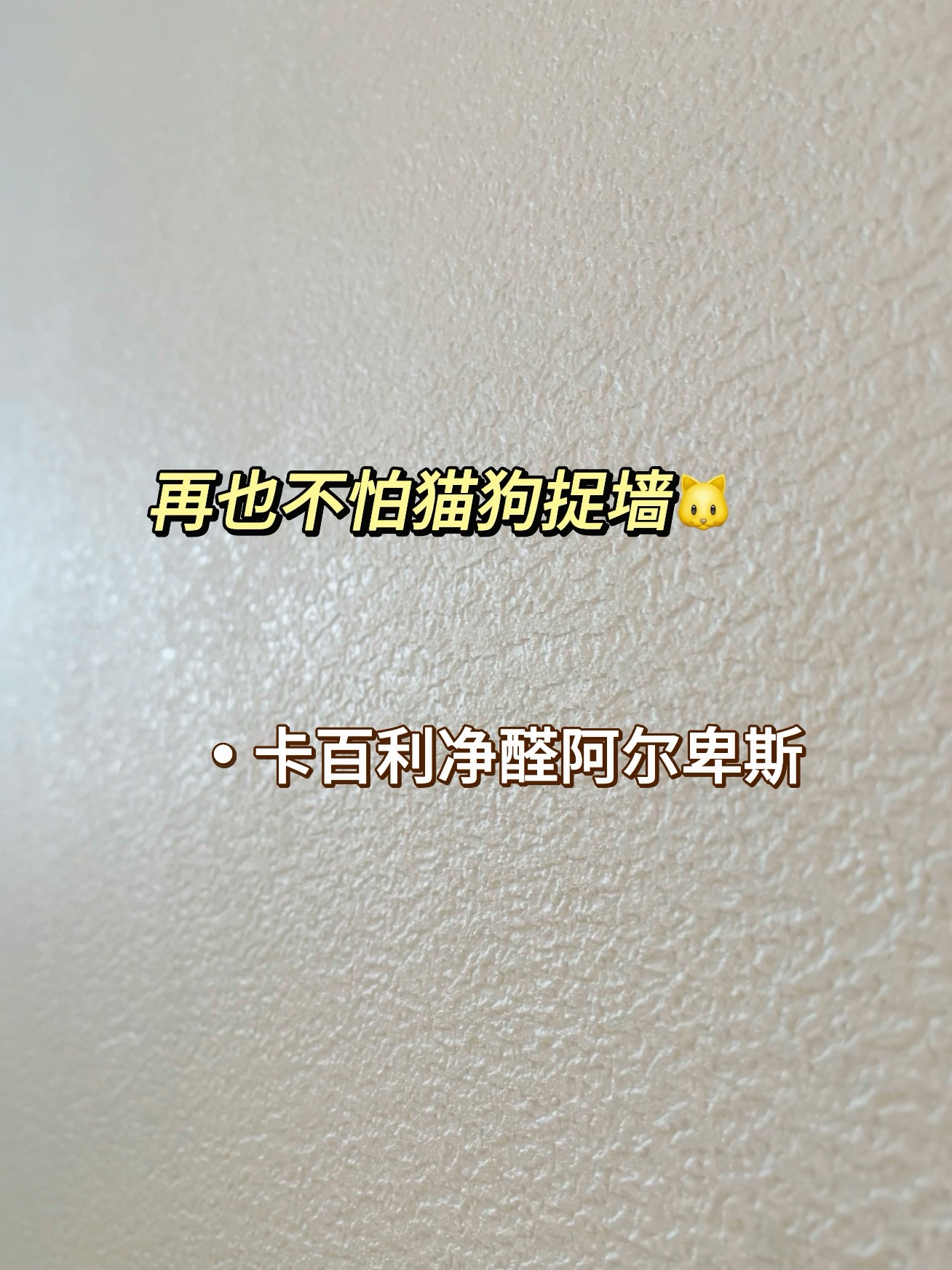 蛋壳光艺术漆