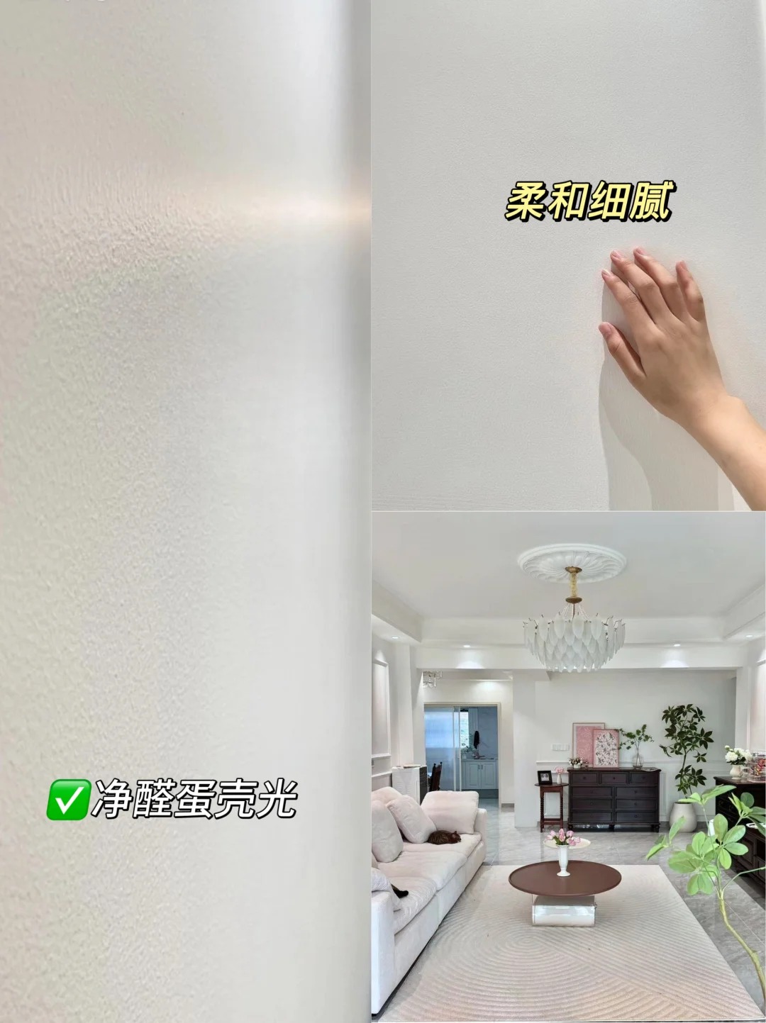 蛋光壳艺术漆