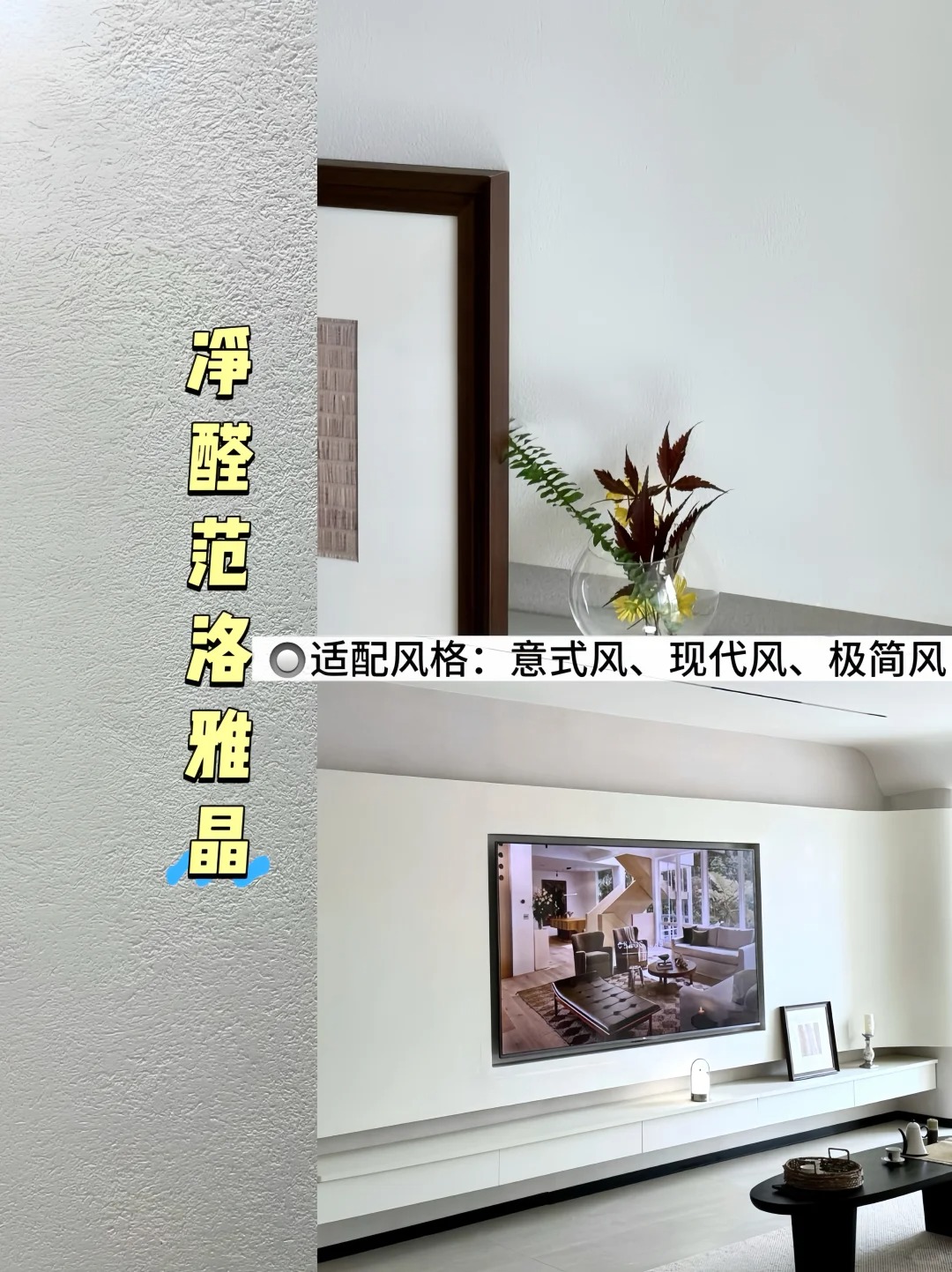 净醛范洛雅晶艺术漆