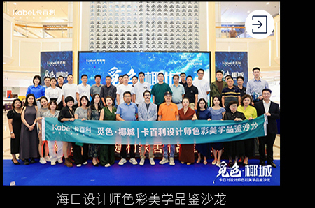 海口设计师色彩美学品鉴沙龙
