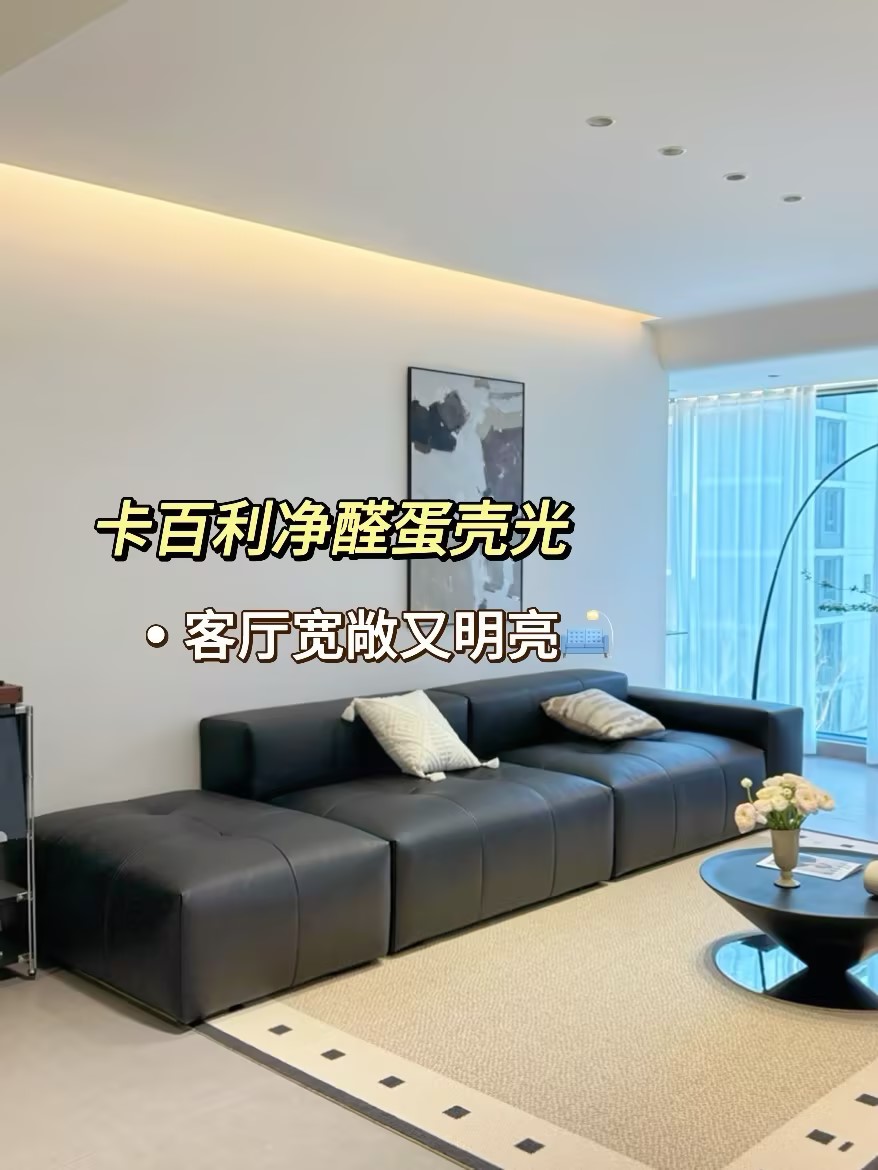 蛋壳光艺术漆图片效果图