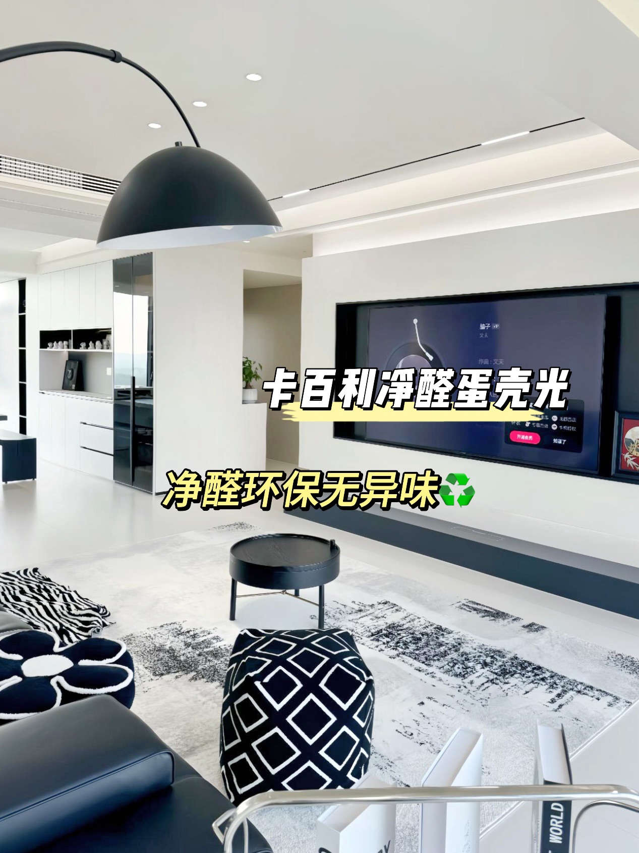 蛋壳光艺术漆效果图