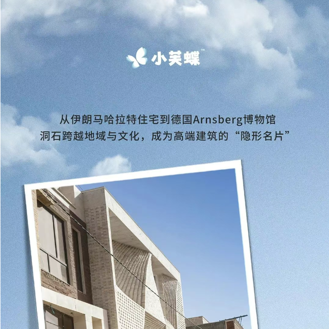 顶级设计师挚爱！今年别墅外墙都在刷的小芙蝶无机洞石漆
